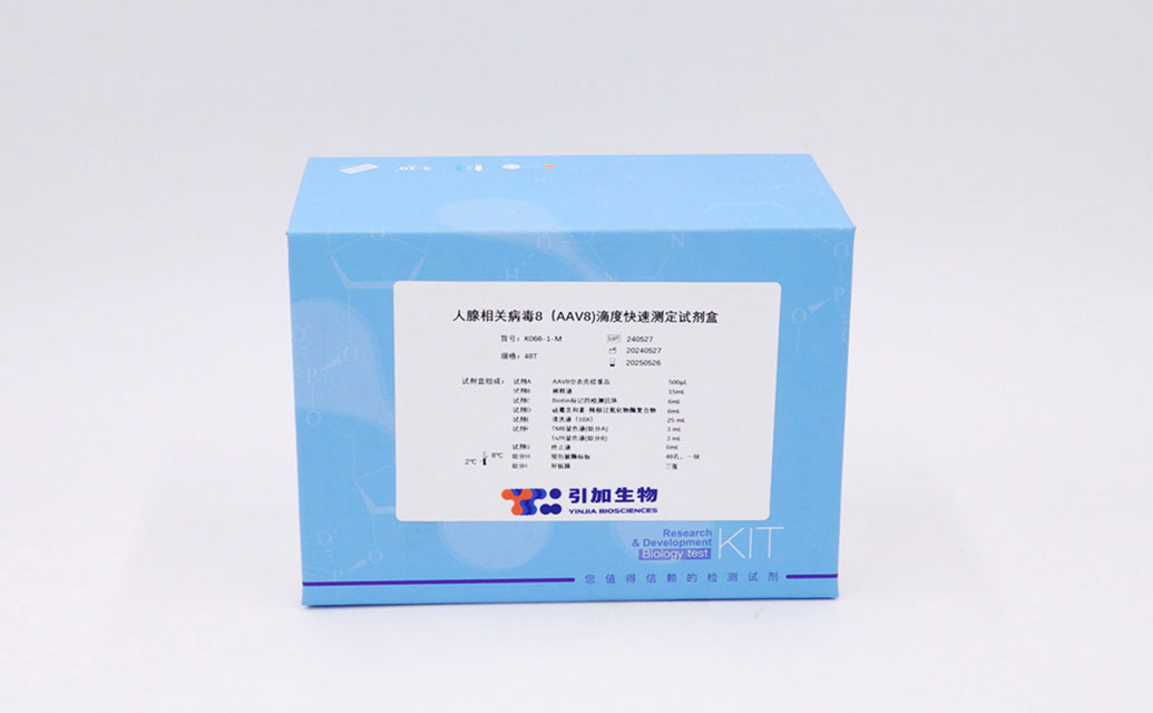 人腺相关病毒8(AAV8)滴度快速测定试剂盒