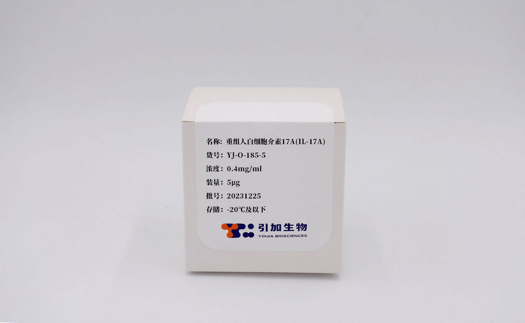 重组人白细胞介素17A(IL-17A)