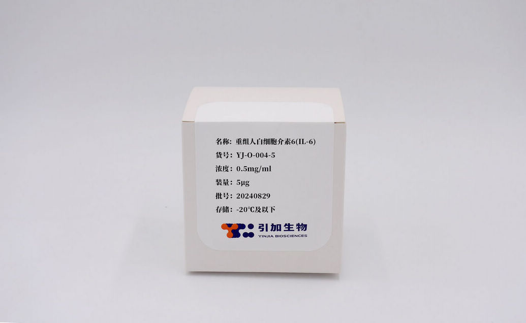 重组人白细胞介素6(IL-6)