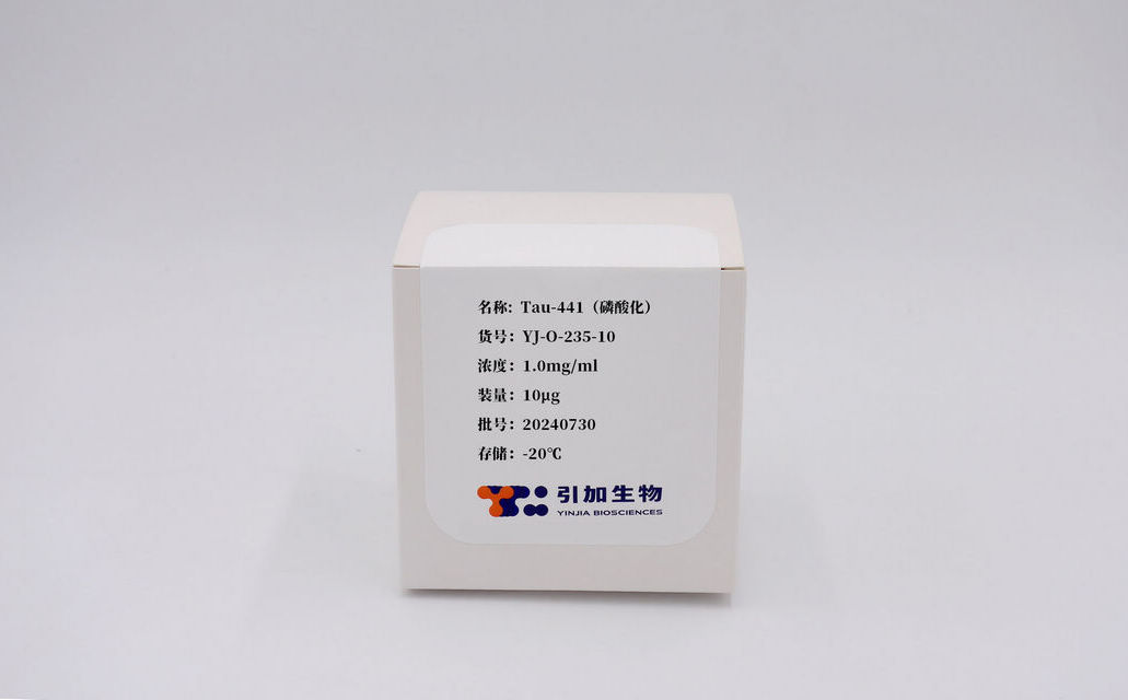 Tau-441(磷酸化)