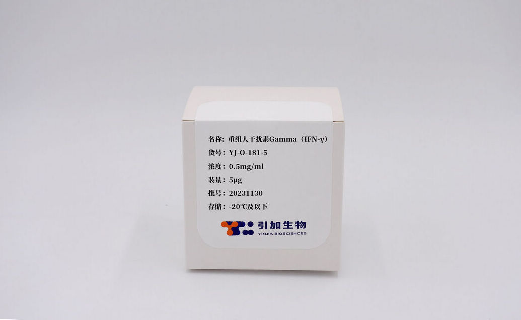 重组人干扰素Gamma(IFN-γ)