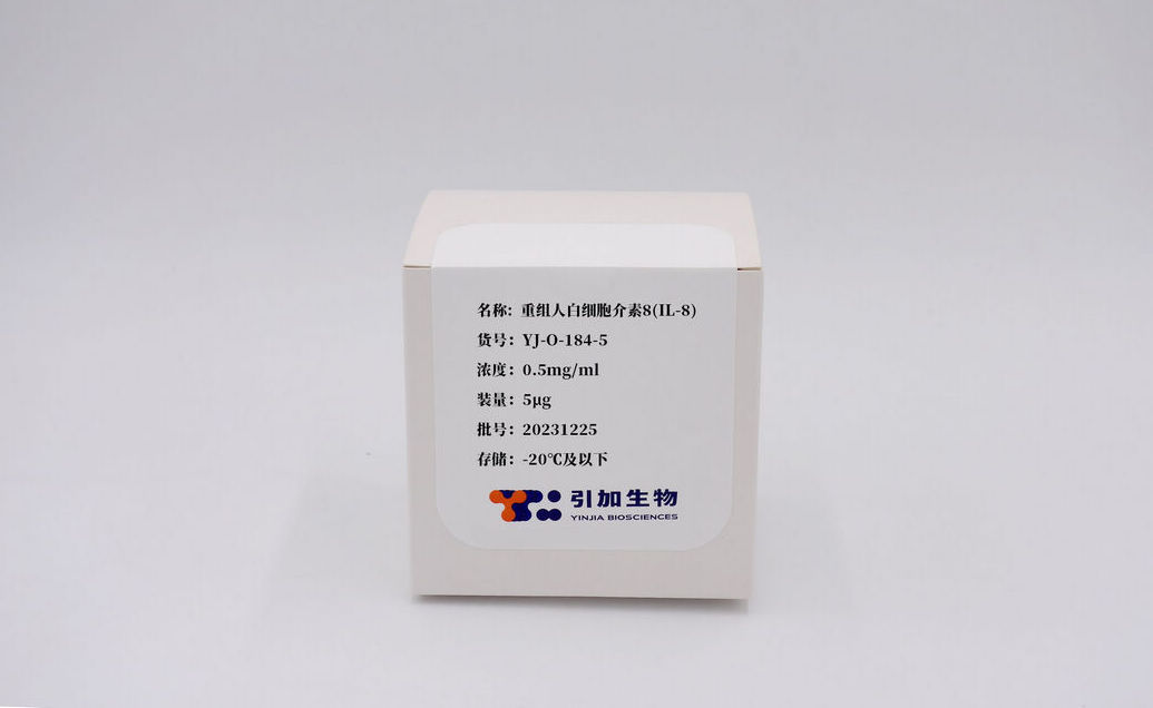 重组人白细胞介素8(IL-8)